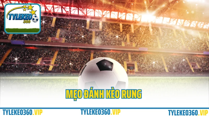 Mẹo đánh kèo rung