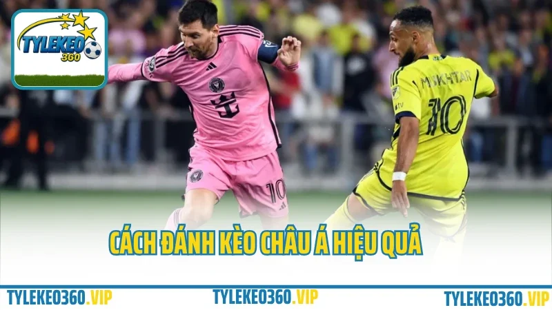 Cách Đánh Kèo Châu Á Không Cháy – Kinh Nghiệm Tránh Kèo Dụ Nhà Cái