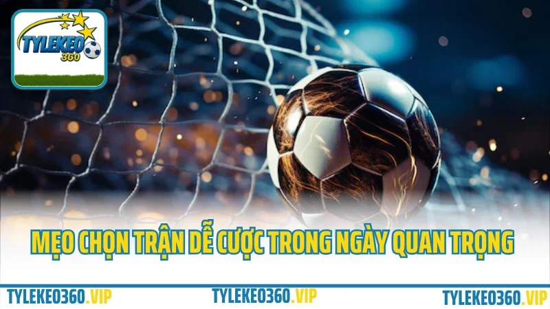 Mẹo chọn trận dễ ăn nhất trong ngày – đừng bao giờ đặt kèo theo cảm tính 1 Mẹo chọn trận dễ cược trong ngày quan trọng