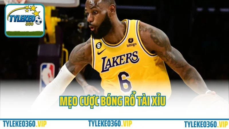 Cược Bóng Rổ Tài Xỉu Như Thế Nào? Mẹo Xem Điểm Trung Bình Dễ Ăn Tiền
