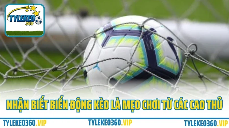 Mẹo chọn trận dễ ăn nhất trong ngày – đừng bao giờ đặt kèo theo cảm tính 3 Nhận biết biến động kèo là mẹo chơi từ các cao thủ