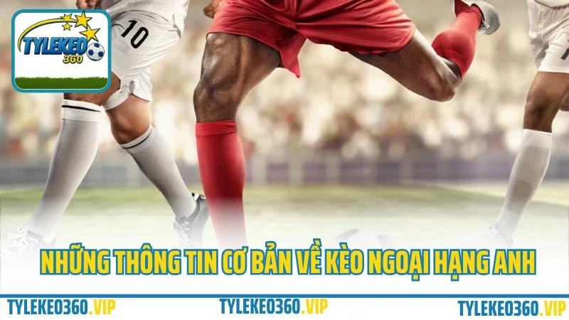 Kinh nghiệm soi kèo ngoại hạng anh – phân tích sâu từng trận đấu 1 Những thông tin cơ bản về kèo ngoại hạng anh