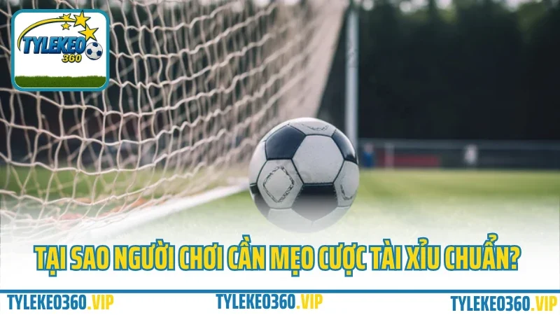 Top 5 mẹo đánh tài xỉu không cháy – cứ theo là có kèo thơm 2 Tại sao người chơi cần mẹo cược tài xỉu chuẩn?