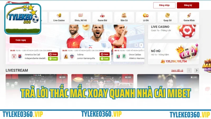 Mibet – cổng cá cược thể thao & game bài được yêu thích 2025 9 Trả lời thắc mắc xoay quanh nhà cái mibet
