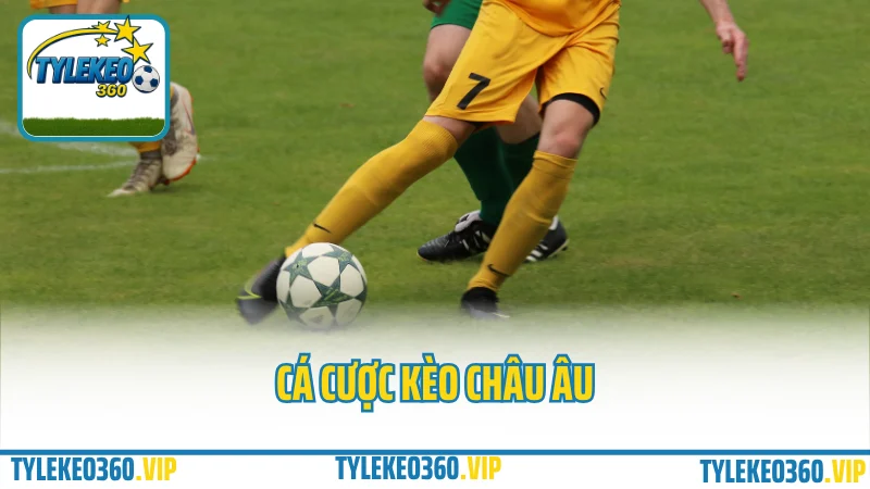Cá cược kèo châu Âu