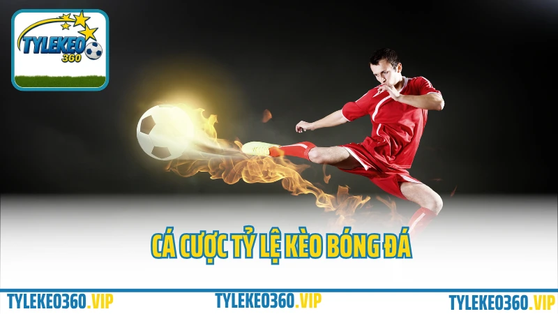 Cá cược tỷ lệ kèo bóng đá