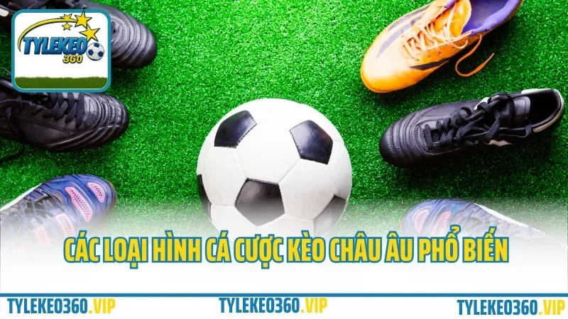 Cá cược kèo châu âu – hướng dẫn đặt cược 1x2 chuẩn như dân pro 4 Các loại hình cá cược kèo châu âu phổ biến