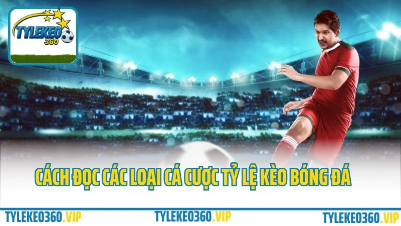 Cá cược tỷ lệ kèo bóng đá - cách đọc odds, bắt kèo chuẩn từng trận 2 Cách đọc các loại cá cược tỷ lệ kèo bóng đá