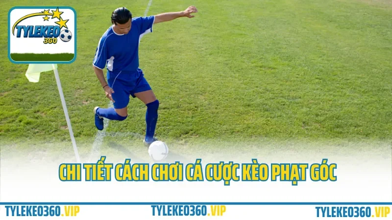 Kèo phạt góc là gì? Cá cược kèo phạt góc dành cho dân soi 2 Chi tiết cách chơi cá cược kèo phạt góc