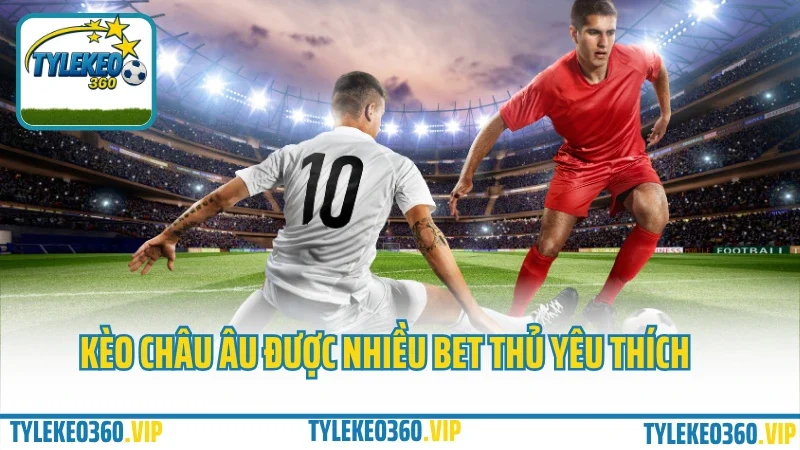 Cá cược tỷ lệ kèo bóng đá - cách đọc odds, bắt kèo chuẩn từng trận 3 Kèo châu âu được nhiều bet thủ yêu thích