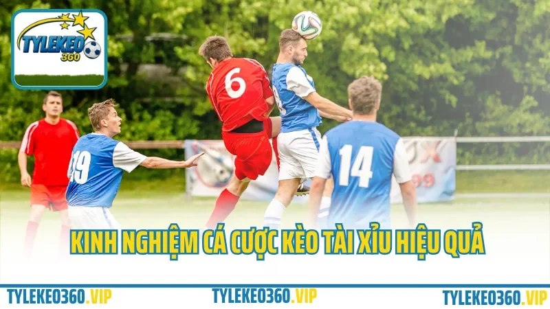 Cá cược kèo tài xỉu – phân tích cầu ghi bàn, tính kèo hiệp 1 & cả trận 4 Kinh nghiệm cá cược kèo tài xỉu hiệu quả