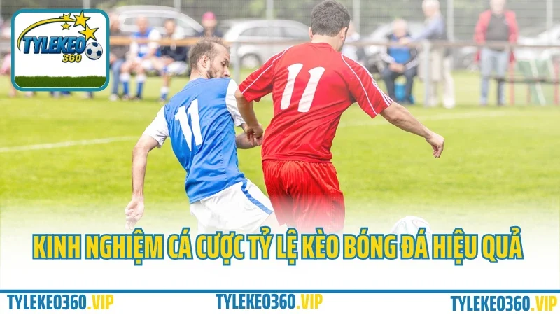 Cá cược tỷ lệ kèo bóng đá - cách đọc odds, bắt kèo chuẩn từng trận 4 Kinh nghiệm cá cược tỷ lệ kèo bóng đá hiệu quả