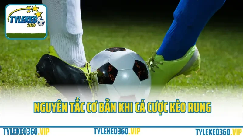 Kèo rung là gì? Hướng dẫn cá cược kèo rung biến động trong trận (live) 3 Nguyên tắc cơ bản khi cá cược kèo rung