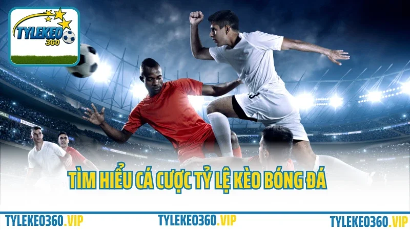 Cá cược tỷ lệ kèo bóng đá - cách đọc odds, bắt kèo chuẩn từng trận 1 Tìm hiểu cá cược tỷ lệ kèo bóng đá
