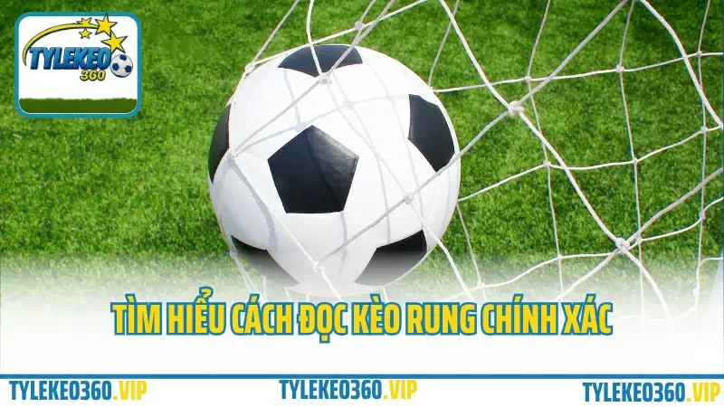 Kèo rung là gì? Hướng dẫn cá cược kèo rung biến động trong trận (live) 2 Tìm hiểu cách đọc kèo rung chính xác qua