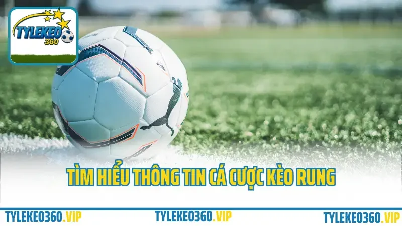 Kèo rung là gì? Hướng dẫn cá cược kèo rung biến động trong trận (live) 1 Tìm hiểu thông tin cá cược kèo rung